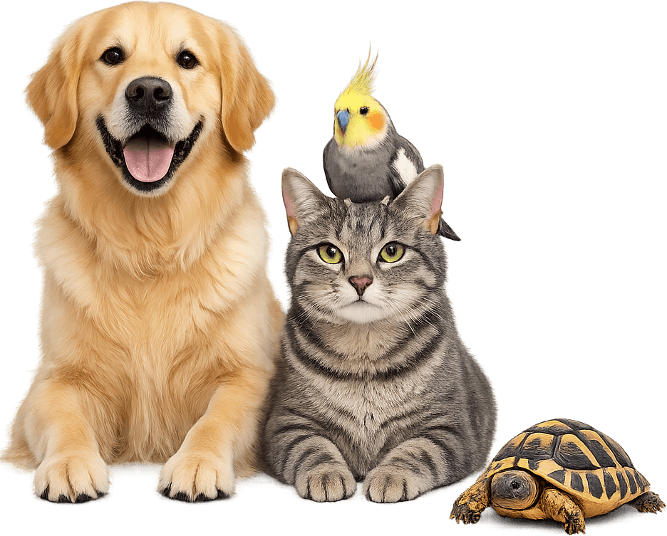 Happy pets representing AI-powered pet care with Pawtify