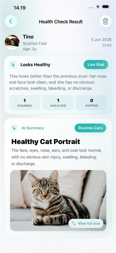 Health Scan Result — AI wellness summary for Tino with low risk assessment