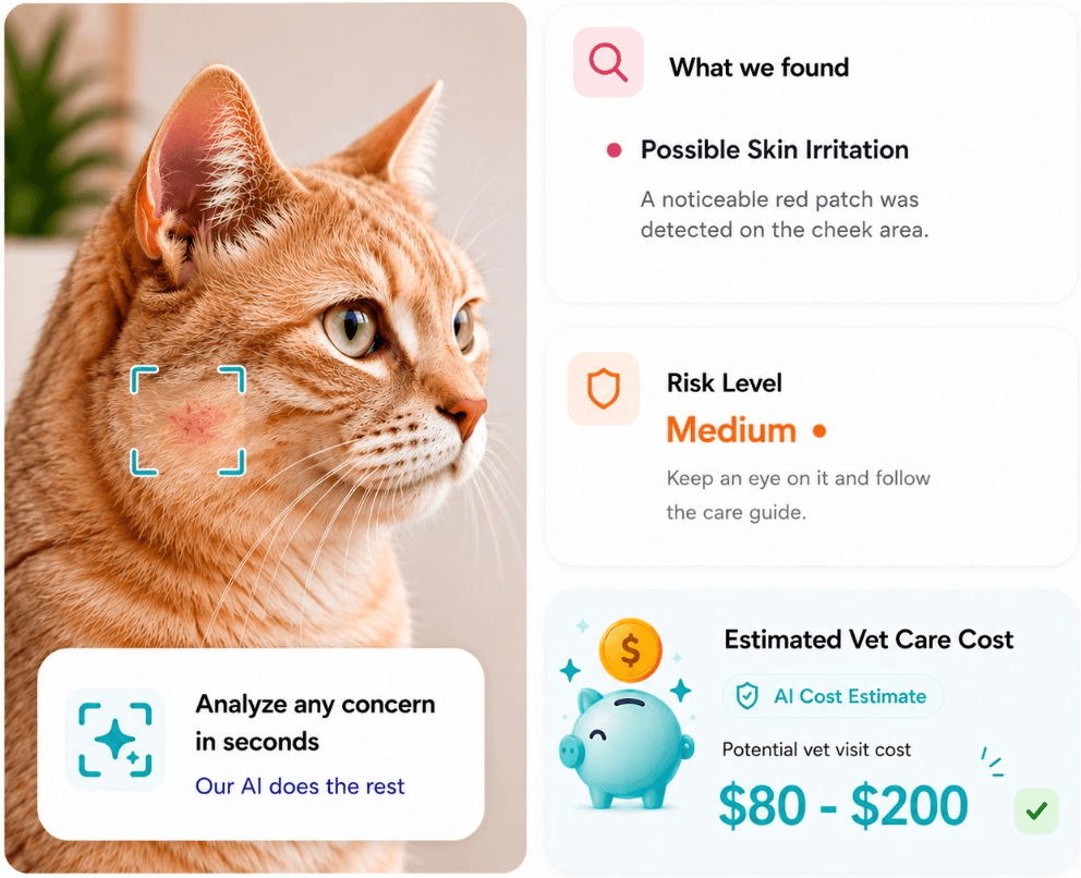 Pawtify AI health scan wellness guidance screen