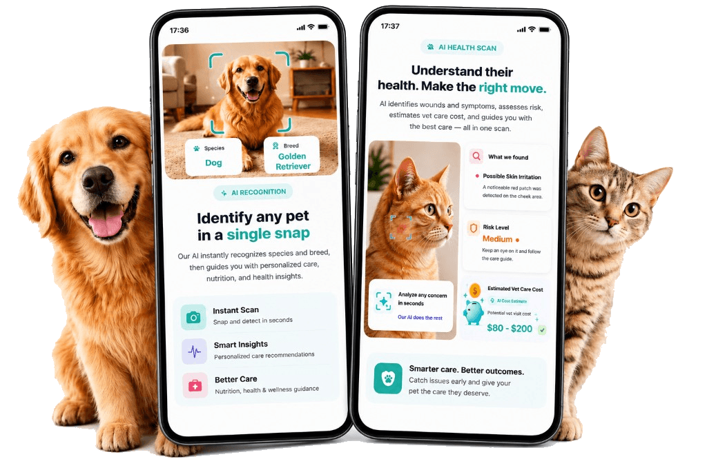 Pawtify AI pet recognition and health scan on iPhone